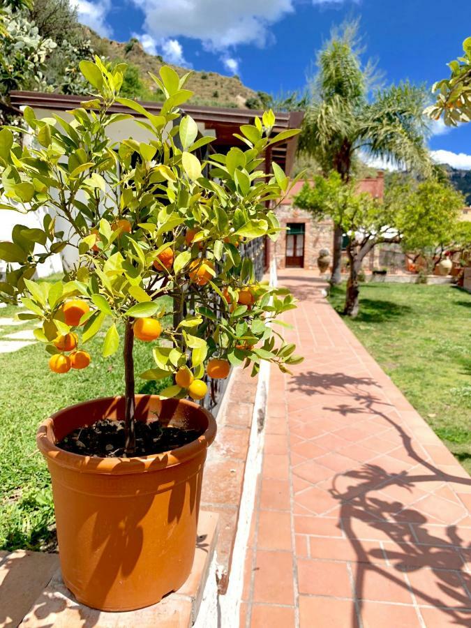 B&B Villa Vittoria Giardini-Naxos Kültér fotó